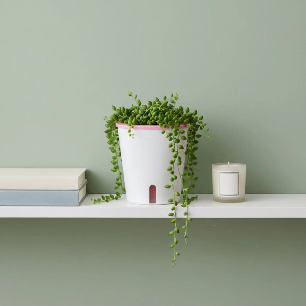Self-Watering Planter – Large Outdoor Garden Pot with Water Reservoir
