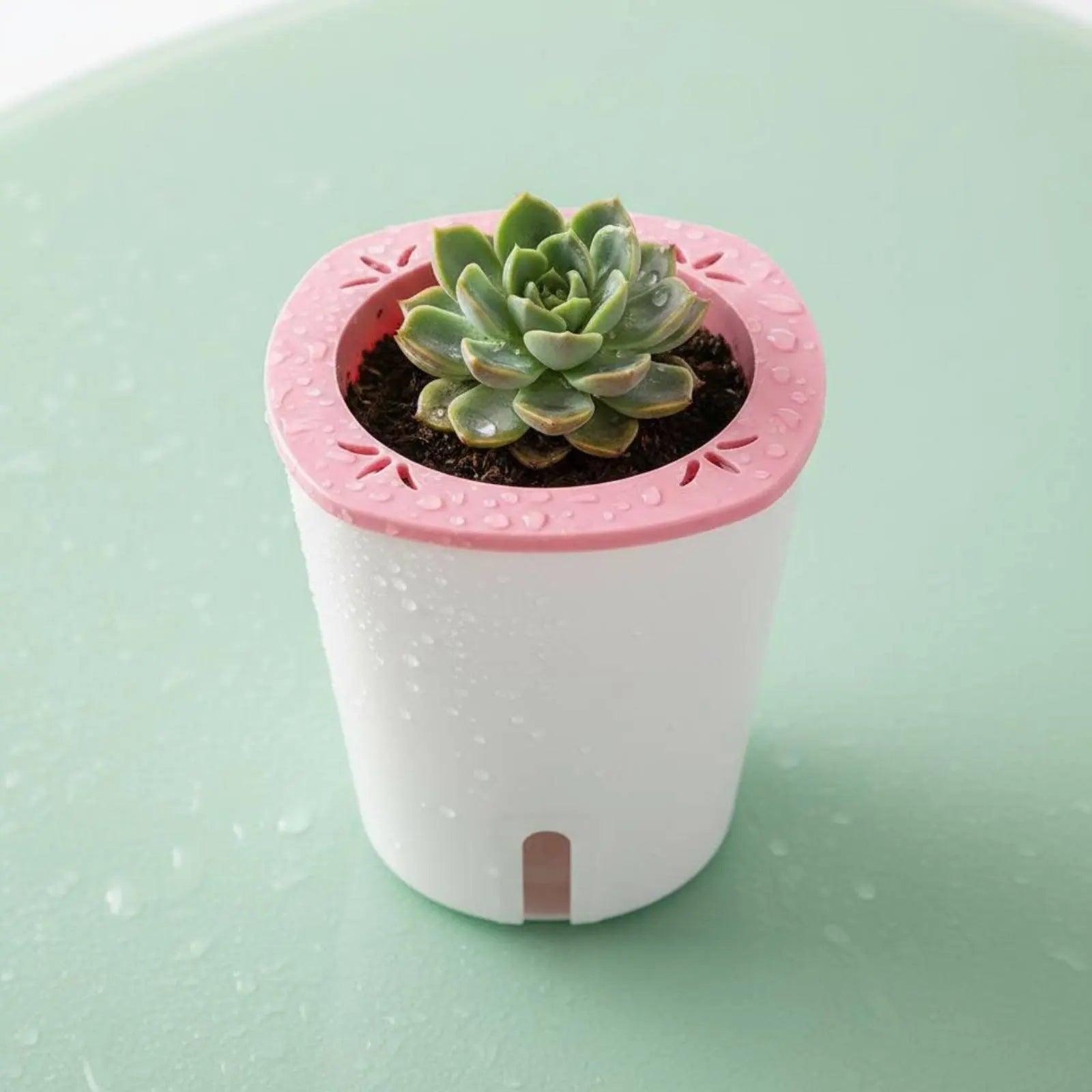 Self-Watering Planter – Large Outdoor Garden Pot with Water Reservoir