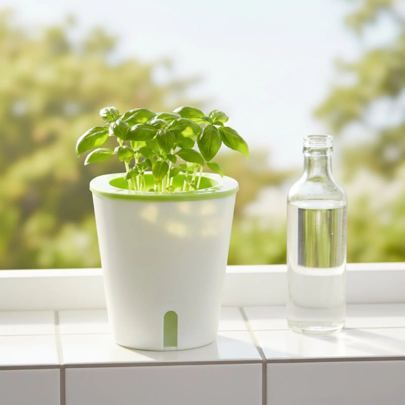 Self-Watering Planter – Large Outdoor Garden Pot with Water Reservoir